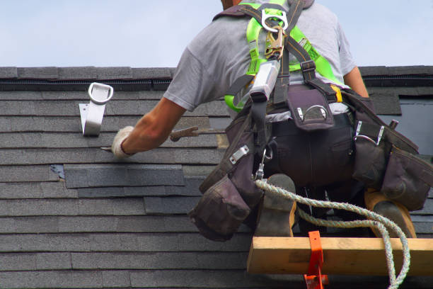 Best Shingle Roofing Installation  in Lacoochee, FL