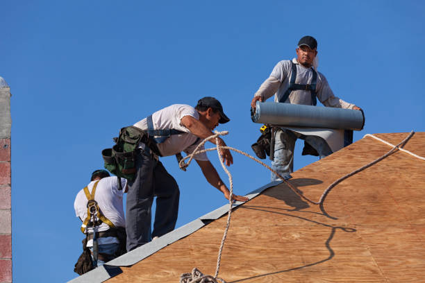 Best Residential Roofing Contractor  in Lacoochee, FL