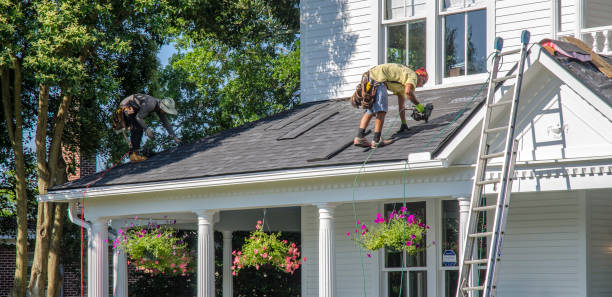Best Metal Roofing Contractor  in Lacoochee, FL